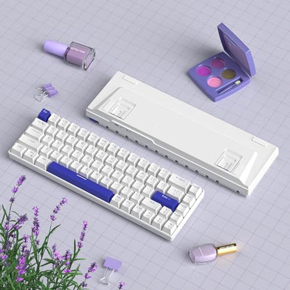 MageGee Portable 60% Mechanical Gaming Keyboard, RGB Backlit Compact 68 Keys Wired Mini Keyboard for Laptop PC Mac, Hot Swappable, Blue Whale Switch - White - color: Klein Blue/Blue Whale Switch