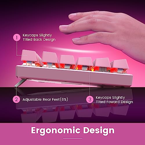 RisoPhy Mechanical Gaming Keyboard, RGB 104 Keys Ultra-Slim Backlit USB Wired Keyboard with Blue Switch, Durable ABS Keycap/Anti-Ghosting/Spill-Resistant Mechanical Keyboards for PC Mac Xbox Game,Pink - color: Pink