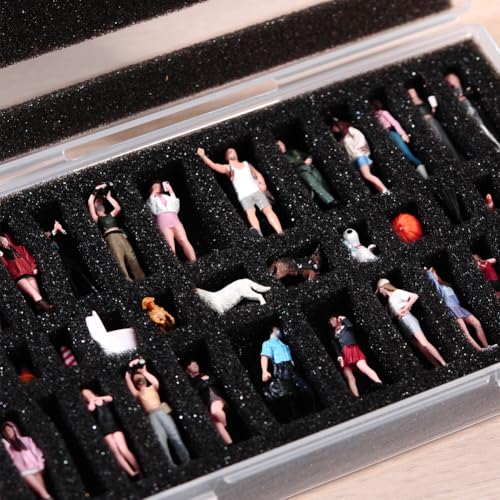 Fremego Miniature Figure Storage Case,Transparent Figurine Storage Box Display Case Plastic Carrying Case for 1/64 1/87 Scale Figurines with Foam Insert (1)
