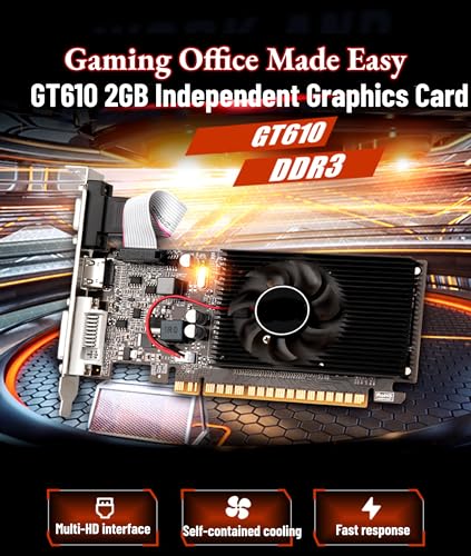 Bewinner GT610 Computer Graphics Card, 2GB DDR3 64bit PCI Express X16 Graphics Card with DVI, VGA, HDMI Interface for Computer Desktop