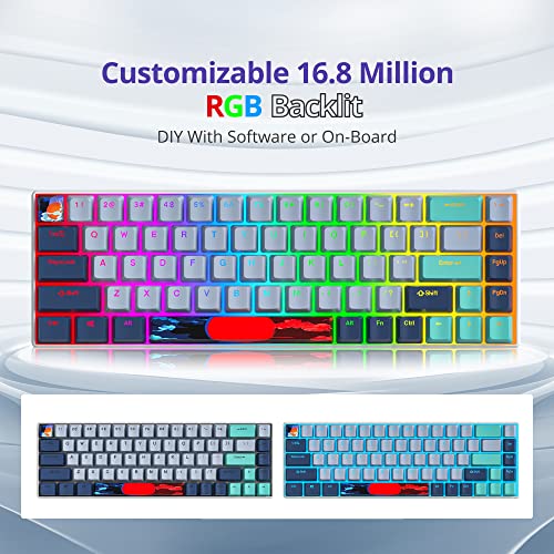 Owpkeenthy 65 Percent Mechanical Gaming Keyboard Hammerhead Shark with Red Switch Ultra Compact RGB Wired 60% Gaming Keyboard N-Key Rollover for PC Gamer Box PS - color: Hammerhead Shark/ 68 Red Switch