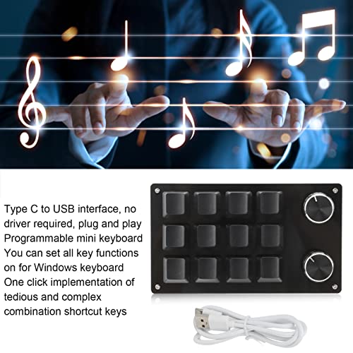 One Handed Macro Mechanical Keyboard Portable USB Mini 12 Key Multifunction DIY Programmable Keypad with Knob for Office Gaming Lab(Black)