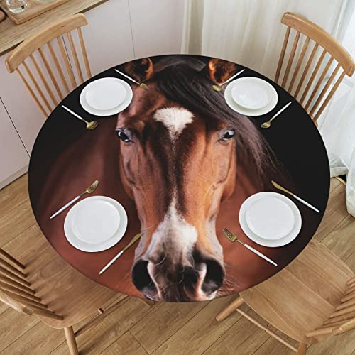 Famame Handsome Brown Horse Head Fitted Round Tablecloth Waterproof Table Cloth with Elastic Edge Wipe Clean Table Covers for Indoor Outdoor Fits 45"-50", Medium - color: Handsome Brown Horse