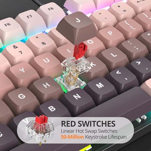 surmen Wired Mechanical Keyboard Full-Size,104-Key RGB Thocky Keyboard with Number Pad USB Retro Brown PBT Keycaps for Win Gaming/Office (104 Heimei) - color: 104 Heimei