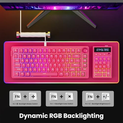 RK ROYAL KLUDGE M20 Wireless Number Pad, Mechanical Numpad with LCD Display, PC Numpad & Calculator Modes, Programmable Numeric Keypad, Bluetooth/2.4G/Wired, RGB Hot-Swappable for Win/Mac - color: Cherry