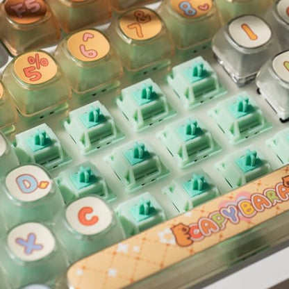 Akko Botany Keyboard Switch for Mechanical Gaming Keyboard, 5-Pin 38gf Linear Pre-Lubed Switches (45pcs) - color: Botany