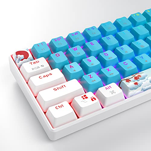 Fogruaden 60% Mechanical Keyboard, 61 Keys Gaming Keyboard, RGB Backlit, Compact 60 Percent Wired Keyboard for Win/Mac PC Gamer, Easy to Carry on Trip (Blue,Blue Switch) - color: Blue/ Blue switch