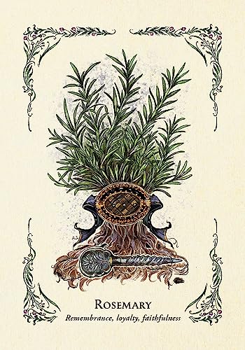 The Green Witch's Oracle Deck: Embrace the Wisdom and Insight of Natural Magic (Green Witch Witchcraft Series)