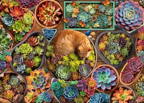 Jigsaw Puzzles for Adults 1000 Pieces, Succulents | Various Plant with Sleeping Cat, Relaxing Challenging Puzzle for Family Fun Home Decor, 20x27 Inches - color: Succulents