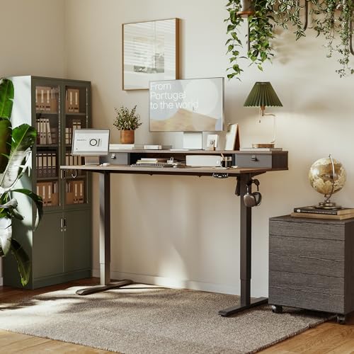 Agilestic 55 x 24 Inches Height Adjustable Electric Standing Desk with 2 Drawers, Stand Up Electric Desk Adjustable Height, Sit Stand Computer Gaming Table with Splice Board, Rustic Brown - color: Rustic Brown, size: 55 x 24 Inches with 2 drawers