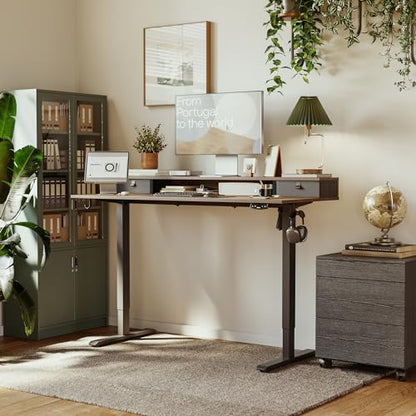 Agilestic 55 x 24 Inches Height Adjustable Electric Standing Desk with 2 Drawers, Stand Up Electric Desk Adjustable Height, Sit Stand Computer Gaming Table with Splice Board, Rustic Brown - color: Rustic Brown, size: 55 x 24 Inches with 2 drawers
