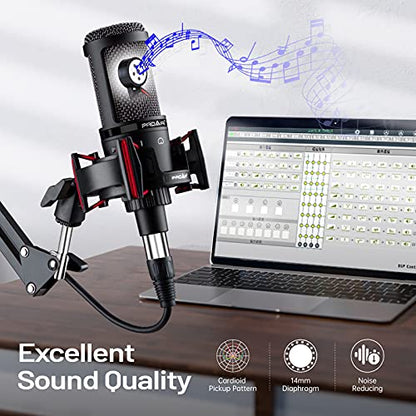 Condenser Microphone XLR,Professional Studio Recording Microphone for Computer PC,Cardioid Podcast Mic Kit with Boom Arm,Gaming Microphone for Streaming,ASMR,Singing,Voice Over,Vocal,YouTube,Zoom | 48V power required.XLR podcast mic for vocals, voiceovers