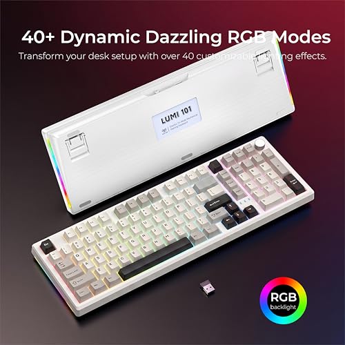 LUMI101 Wireless Mechanical Keyboard,Full-size keyboard with numeric keypad，Tri-Mode BT5.0/2.4GHz/USB-C Hot Swappable Custom Keyboard,RGB Backlit Computer Gaming Keyboards(White Grey Mute Switch) - color: White Mute Switch