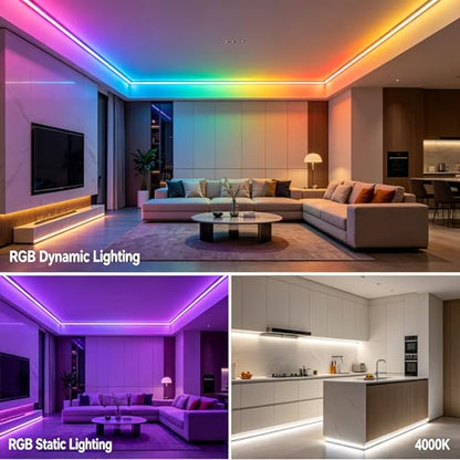 RGBW IC COB LED Strip Kit Natural White 4000K 16.4FT 24V 480LEDs/M | WS2811 IC Addressable Music-Sync Dimmable Color Changing Multicolor RGB+NW LED Tape Kit for Bedroom Gaming Room Party Lights - color: RGBW+IC+4000K