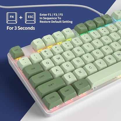 Owpkeenthy Full Size Green Mechanical Gaming Keyboard with Number Pad, Wired 100% Office NKRO Keyboard RGB Backlit 104 Keys with Red Switch for PC Gamer (104 Matcha) - color: 104 Matcha/Red Switch