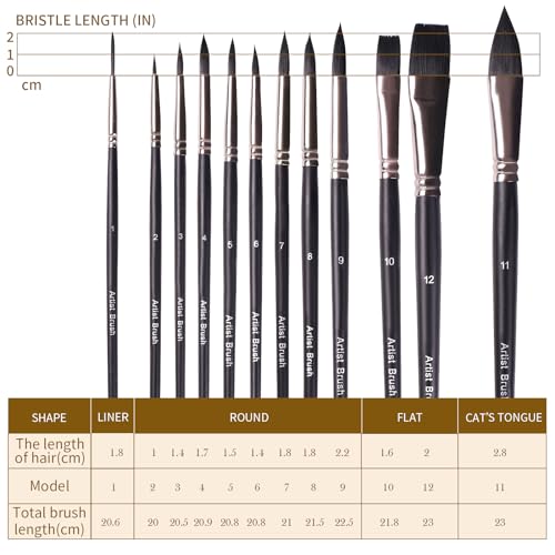 Watercolor Paint Brush Set,12Pcs Professional Paint Brushes for Acrylic Painting,Soft Synthetic Fine Hair Oil Paint Brushes,Flat,Round, Cat's Tongue,Liner for Detail Painting and Art Painting