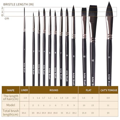 Watercolor Paint Brush Set,12Pcs Professional Paint Brushes for Acrylic Painting,Soft Synthetic Fine Hair Oil Paint Brushes,Flat,Round, Cat's Tongue,Liner for Detail Painting and Art Painting
