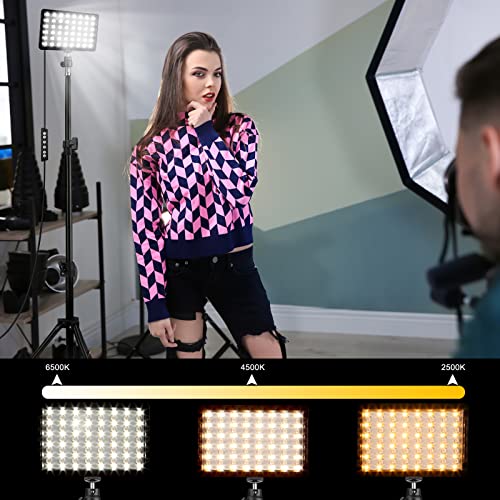 2 Packs RGB LED Video Light with Tripod Stand/White Filters