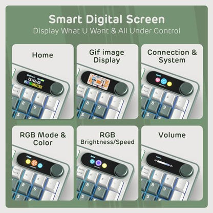 RK ROYAL KLUDGE S98 Wireless Mechanical Keyboard w/Smart Display & Knob | 96% Top Mount RGB Gaming Keyboard BT/2.4G/USB-C, 5-Layer Noise Dampening, Creamy Sound Pre-lubed Switch,Hot Swap, 98 Keys - color: Clay Green, size: Linear Cream Switch