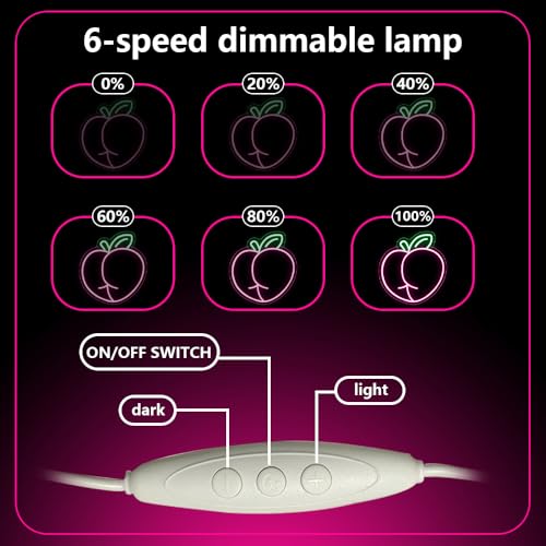 Peach LED Neon Light Sign, Pink Peach for Wall Decor Room Party Decorations Bar Pub Club Girls Bedroom Birthday Party Bathroom Decor Gifts USB Powered(12.6"*11.8") - style: Peach
