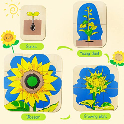 Montessori Wooden Puzzles for Kids Ages 4-8, 4 Layer Life Cycle Of Sunflower Jigsaw Puzzle for Toddlers, Children Preschool Learning Educational Puzzles Summer Toys Gift for Boys and Girls (Sunflower) - style: Sunflower