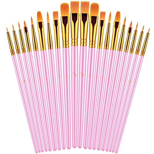 Paint Brushes Set, 20 Pcs Paint Brushes for Acrylic Painting, Oil Watercolor Acrylic Paint Brush, Artist Paintbrushes for Body Face Rock Canvas, Adult Drawing Arts Crafts Supplies, Pink - color: Pink
