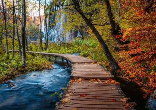 Ravensburger Autumnal Wooden Trail 1000 Piece Puzzle for Adults
