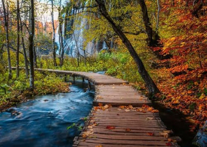 Ravensburger Autumnal Wooden Trail 1000 Piece Puzzle for Adults