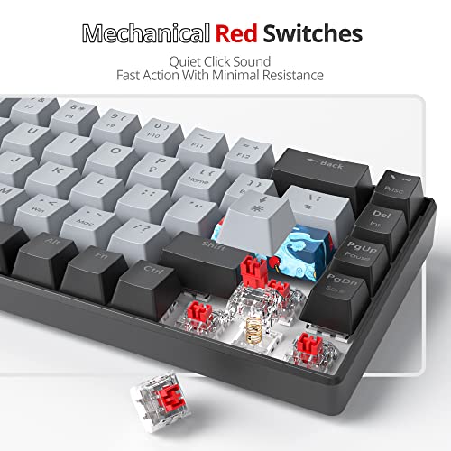 Protable 60% Percent Gaming Keyboard Mechanical, Mini Compact RGB Backlit 68 Keys Wired Office Keyboard with Red Switch for Mac/Win (Dolch/red Switch 68) - color: Dolch/red Switch 68