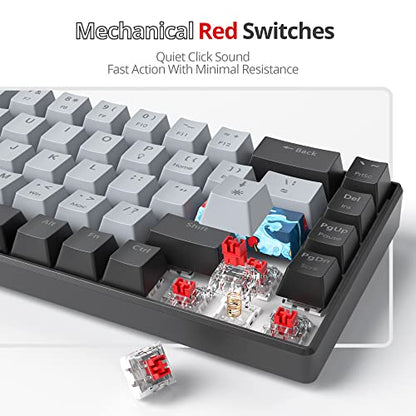 Protable 60% Percent Gaming Keyboard Mechanical, Mini Compact RGB Backlit 68 Keys Wired Office Keyboard with Red Switch for Mac/Win (Dolch/red Switch 68) - color: Dolch/red Switch 68