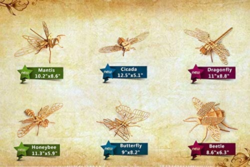 3D Wooden Insect Puzzle - 6 Piece Set Insect Animal Skeleton Assembly Model Puzzle - DIY Wooden Crafts 3D Puzzle - Wood STEM Gifts for Adults & Teens Birthday Gifts Christmas - style: Insect 6 model