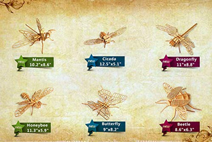 3D Wooden Insect Puzzle - 6 Piece Set Insect Animal Skeleton Assembly Model Puzzle - DIY Wooden Crafts 3D Puzzle - Wood STEM Gifts for Adults & Teens Birthday Gifts Christmas - style: Insect 6 model