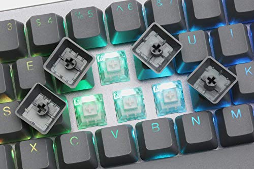Drop ALT Mechanical Keyboard — 65% (67 Key) Gaming Keyboard, Hot-Swap Switches, Programmable Macros, RGB LED Backlighting, USB-C, Doubleshot PBT, Aluminum Frame (Cherry MX Blue RGB, Gray) - color: Space Gray, style: Cherry MX Blue RGB