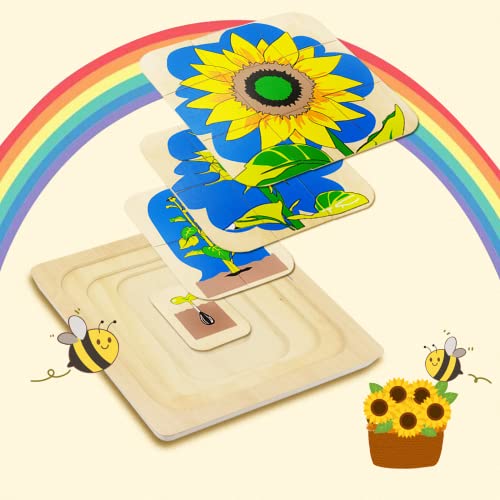 Montessori Wooden Puzzles for Kids Ages 4-8, 4 Layer Life Cycle Of Sunflower Jigsaw Puzzle for Toddlers, Children Preschool Learning Educational Puzzles Summer Toys Gift for Boys and Girls (Sunflower) - style: Sunflower