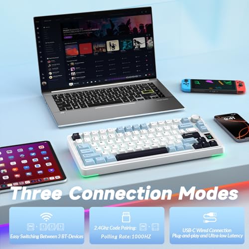 AULA S75 PRO Wireless Mechanical Keyboard with Screen&Knob, 75% Hot Swappable Gaming Keyboard with Pre-lubed Switches, RGB Backlit, PBT Keycaps Creamy Sounding Pc Gaming Keyboards - color: White&Blue