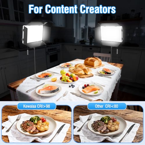 2-Pack LED Video Light Kit, 2500K-8500K Studio Light for Video Recording/Photography - size: 2 Pack (with Barndoor)