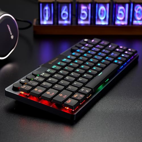 Hexgears A1 Low Profile Wireless Mechanical Keyboard - 60% Compact TKL, Bluetooth 5.0/2.4GHz/Wired USB C Hot Swappable Clicky Switch, RGB Backlit Mini Portable Gaming Keyboard Aluminum for PC/MAC - size: A1 - Mini, style: Clicky