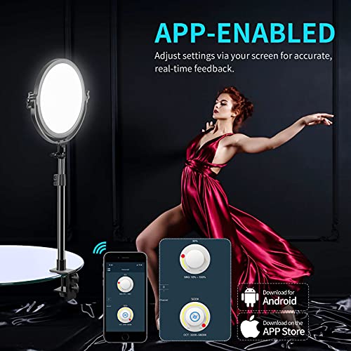 GVM Desk Mount LED Video Light, 10'' Round Key Light with Built-in Diffuser and LCD Display, Bi-Color Professional Light for Game/Studio/Streaming/YouTube Video Shooting, APP Control CRI 97+