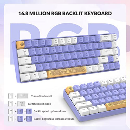 ZIYOU LANG RK-T8 Wired 65% Mechanical RGB Gaming Keyboard-White/Purple | Rainbow Backlit,Anti-ghosting,TKL,Mini 68 Key,Custom Coiled C to A Cable,Tactile Blue Switch for PS4 PS5 Xbox PC Mac Gamer - color: White Purple, size: 65% Keyboard