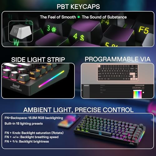 HINATSUSIKE H83 Pro 75 Percent Wireless Mechanical Keyboard for Gaming, Hot-Swappable with Knob, RGB Backlit, Pre-Lubed Cardamom Linear Switches, Side-Printed PBT Keycaps, 2.4G/BT5.0/USB-C Black - color: H83 Pro Black