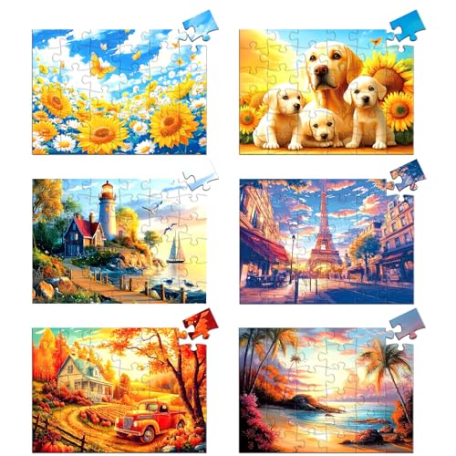 Blueforest 6 Pack 36 Large Piece Jigsaw Puzzles for Seniors, Easy Grip | Dementia Alzheimer's activities; arthritic hands; 1:1 reference poster; memory games; dust-free cardboard; nursing home gifts - color: 6 Pack 36 Large Piece Sunset Serenity