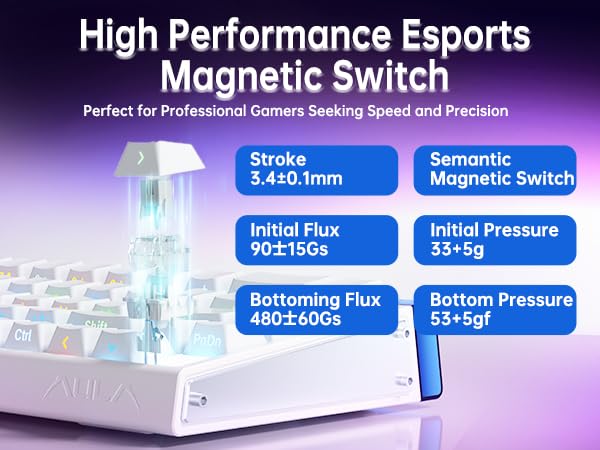 Aula Hero 68 HE 60% Gaming Keyboard Wired, Hall Effect Magnetic Switch Keyboard with Adjustable Actuation, Fast Trigger Mode, 8K Hz Polling Rate, 0.125ms Latency, RGB Backlit - color: Black Lighthouse
