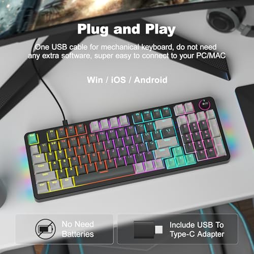 GEEZER Mechanical Gaming Keyboard with LED Backlit, Blue Switch, Volume Knob, 96 Keys Full Size Compact USB Wired Computer Keyboards for Office Windows Laptop PC & Mac Gamer - Grey & Black