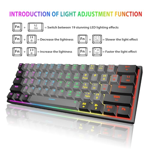 Snpurdiri 60 Percent Machanical Keyboard (Black-Grey, Red Switches) | Full Anti-Ghosting 60% Gaming Keyboard Rainbow Backlit for PC Gamer Office Business - color: Black Grey/Red Switch