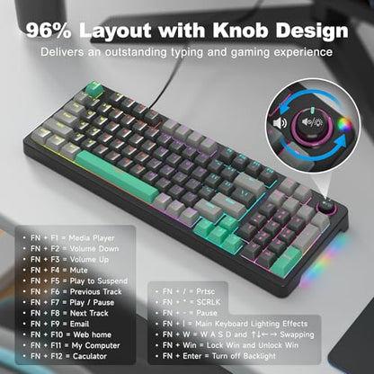 AK96 Mechanical Keyboard Smart Display & Knob, Top Mount 96% Wired Mechanical Keyboard USB-C, Hot Swappable, Software Support, Creamy Sounding, 96 Keys (Black) - color: Black