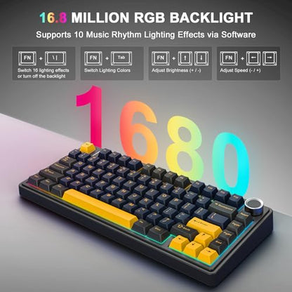 Aula F75 Wireless Mechanical Keyboard, 75% Hot Swappable Custom Gaming Keyboard with Knob,BT5.0/2.4GHz/USB-C,RGB Backlit,Pre-lubed Reaper Switches, Mechanical Gaming Keyboards (Black & Gold) - color: Black & Gold