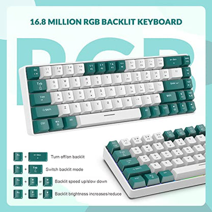 ZIYOU LANG RK-T8 Wired 65% Mechanical RGB Gaming Keyboard-Green/White | Rainbow Backlit,Anti-ghosting,TKL,Mini 68 Key,Custom Coiled C to A Cable,Tactile Blue Switch for PS4 PS5 Xbox PC Mac Gamer - color: Green White, size: 65% Keyboard
