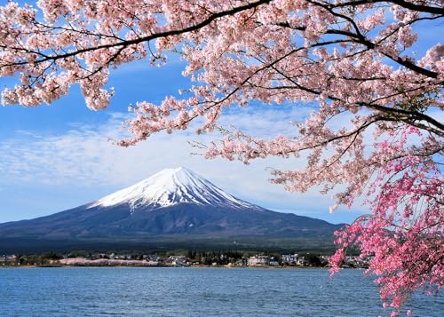 1000 Piece Puzzle for Adults - Mount Fuji Puzzles for Adults 1000 Pieces, Letters on Back, Nature Landscape Jigsaw Puzzle, Japan Sight Challenging Puzzles for Teens Seniors - 27.6 x 19.7 inches - color: Mount Fuji