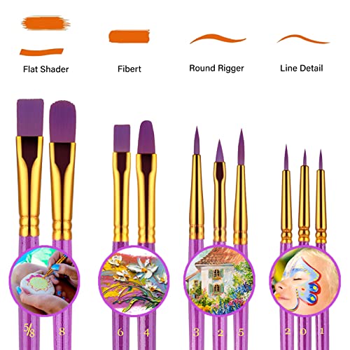 Paint Brushes Set, 30 Pcs Paint Brushes for Acrylic Painting, Watercolor Acrylic Oil Paint Brush, Artist Paintbrushes for Body Face Rock Canvas, Adult Drawing Arts Crafts Supplies, Purple - color: Nickel,purple