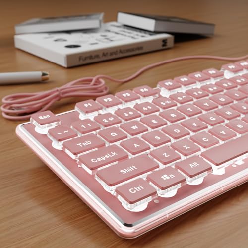 SEUNKWANG Wired Backlit Keyboard with Pudding Keycaps, Quiet Full Size Computer Keyboard White Backlight Easy-to-Read, Never Fade, Metal Panel, USB Cute Desk Setup for Windows PC Desktop, Pink - color: Pink